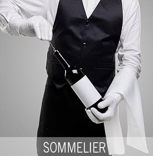 Fehér légáteresztő, naponta mosható fehér kesztyű. Ajánlott felhasználási területek: Pincér és felszolgáló. Protokoll események. Sommelier bemutatók. Ékszer-és antikvitas. Múzeumi. Rendőrség. Katonaság. Bűvész. Hotel recepció.