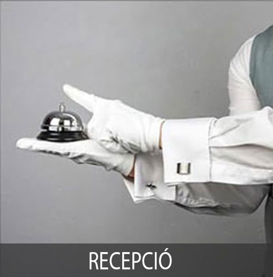 Fehér légáteresztő, naponta mosható fehér kesztyű. Ajánlott felhasználási területek: Pincér és felszolgáló. Protokoll események. Sommelier bemutatók. Ékszer-és antikvitas. Múzeumi. Rendőrség. Katonaság. Bűvész. Hotel recepció.