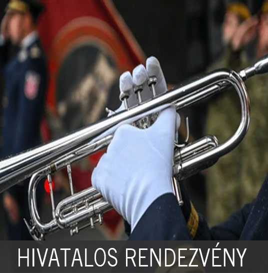 Fehér légáteresztő, naponta mosható fehér kesztyű. Ajánlott felhasználási területek: Pincér és felszolgáló. Protokoll események. Sommelier bemutatók. Ékszer-és antikvitas. Múzeumi. Rendőrség. Katonaság. Bűvész. Hotel recepció.